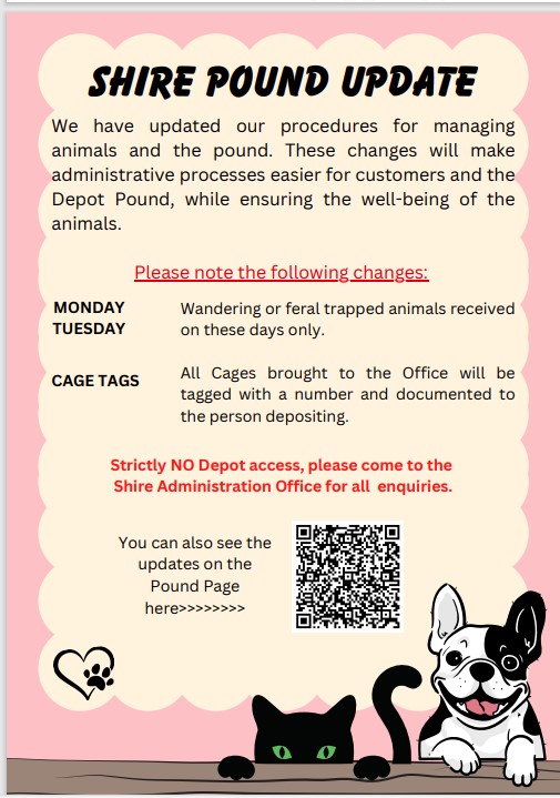 Dog Pound Update Poster 2024
