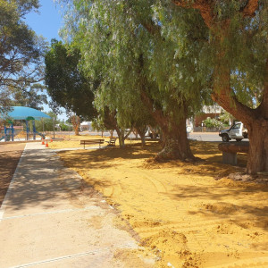 Main Street Revitalisation Project